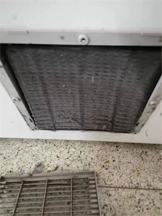 开云官方app下载站
仪器&中科都菱低温冰箱2020用户巡访记775