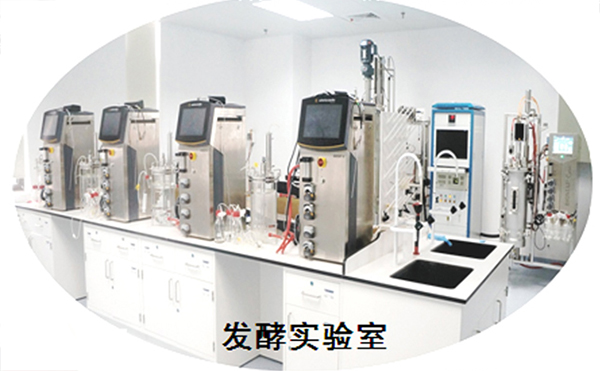 开云官方app下载站
仪器为武汉生物技术研究院供应4台7L机械搅拌玻璃发酵系统